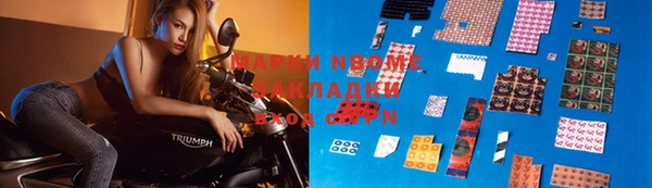 крисы Кулебаки