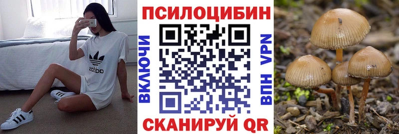 купить наркотик  Новопавловск  Галлюциногенные грибы Cubensis 